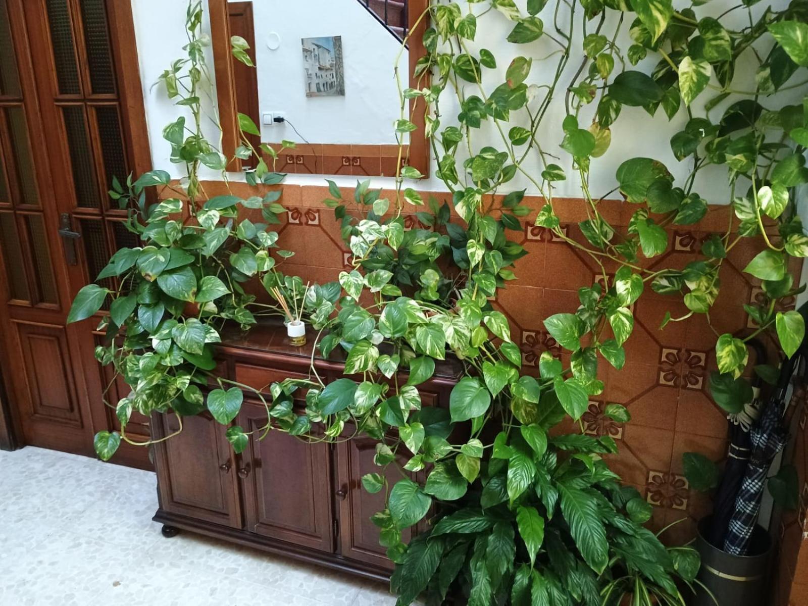 Casa Matbel Apartment Cordoba Exterior photo